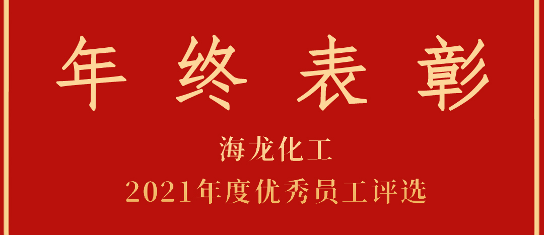 <strong>表彰！海龍化工2021年度優(yōu)秀員工優(yōu)秀部門評選</strong>