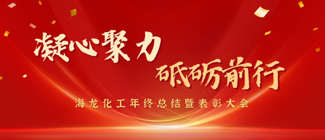 表彰 | 凝心聚力，砥礪前行，海龍化工年終總結(jié)暨表彰大會圓滿舉行
